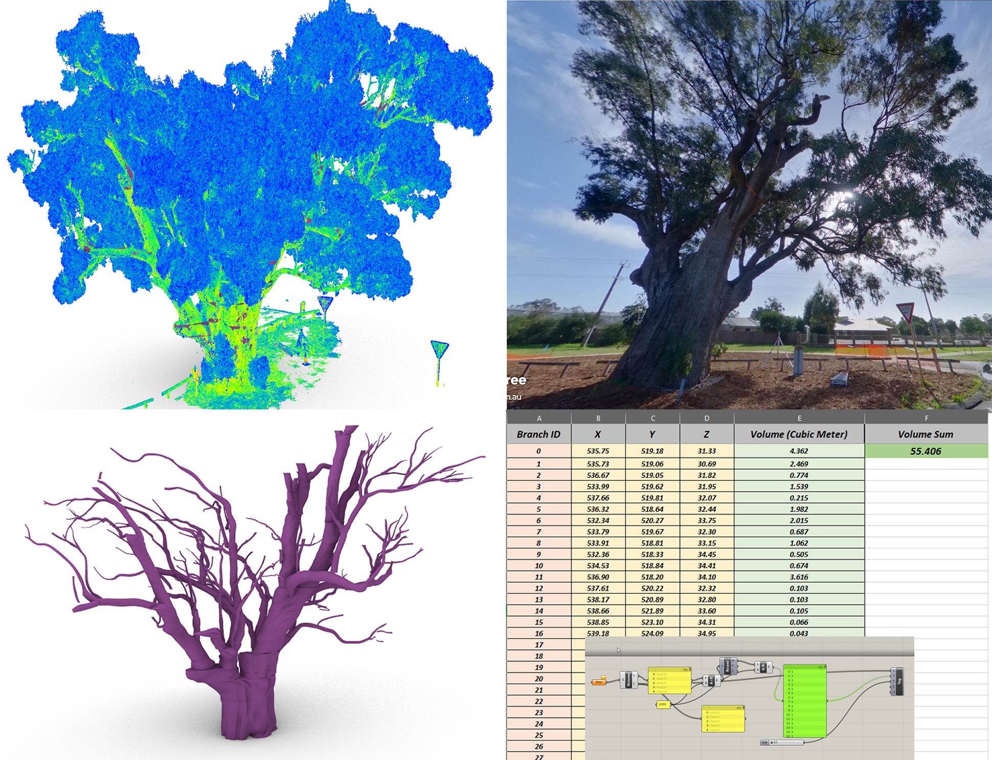 3D Scanning of Giant Trees